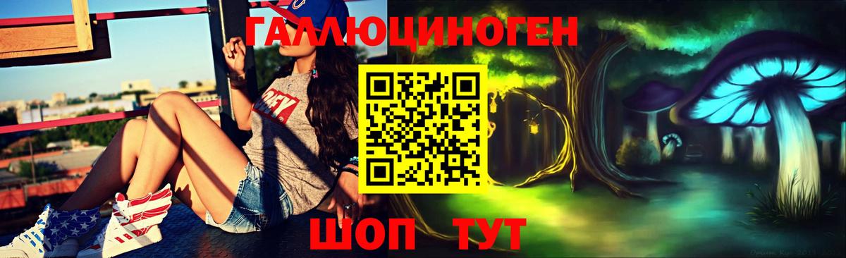 Псилоцибиновые грибы Psilocybe Лыткарино