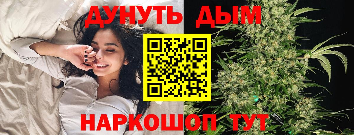 Каннабис ГИДРОПОН Лыткарино
